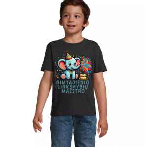 Vaikiški unisex marškinėliai Gimtadienio linksmybių maestro